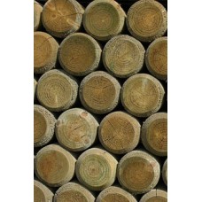 100mm Diameter x 1.8m Long Machine Round stakes 100mm Diameter x 1.8m Long Machine Round stakes